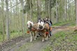 M�jov� slavnosti 2010