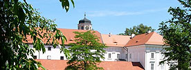 kolaz