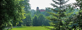 kolaz