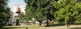 kolaz